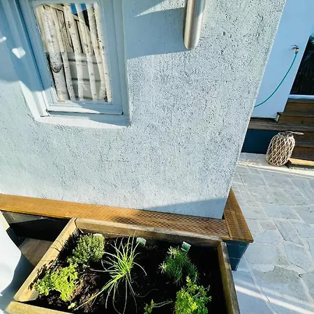 招待所 Le Numero 100