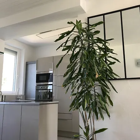 Πανσιόν Le Numero 100 3*