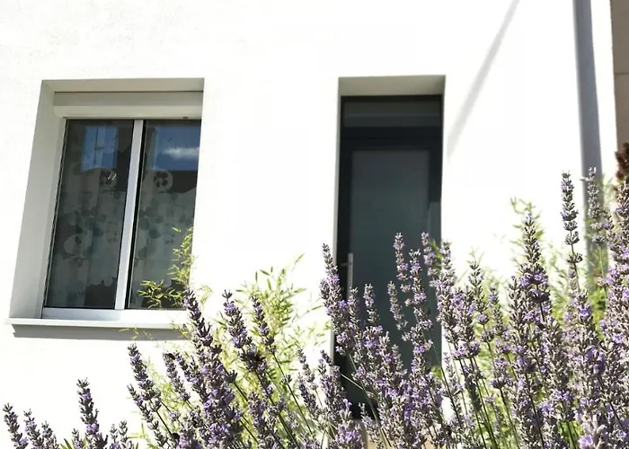 Le Numero 100 3* Nancy